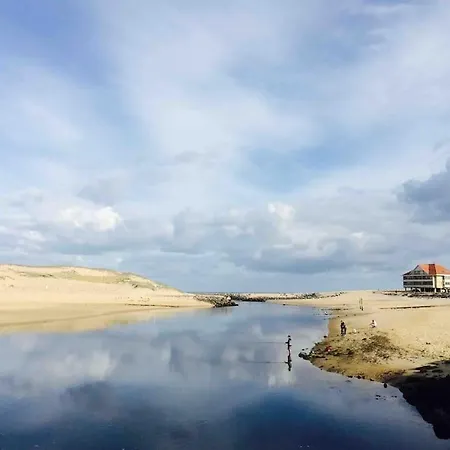 Holiday home Maison Miss Burton A Louer Sur La Cote Landaise *